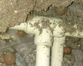 清流测漏水多少钱