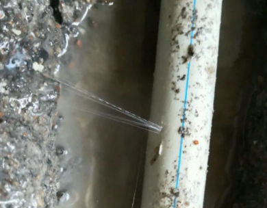 清流测漏水哪家好