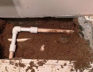 清流测漏水哪家好