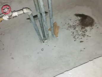 清流卫生间测漏水价格明细