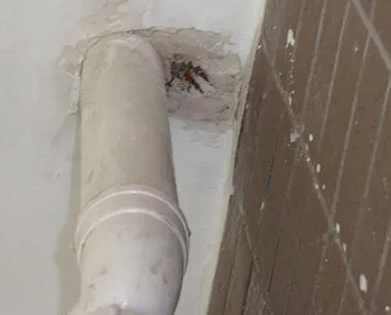 清流漏水检测哪家好